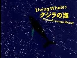 クジラの海