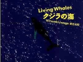 クジラの海
