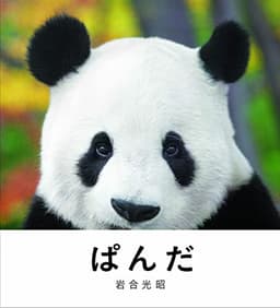 ぱんだ