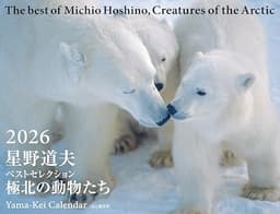 カレンダー2026 星野道夫ベストセレクション 極北の動物たち（月めくり/壁掛け/アラスカ） (ヤマケイカレンダー2026)