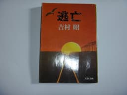 逃亡 (1978年) (文春文庫)