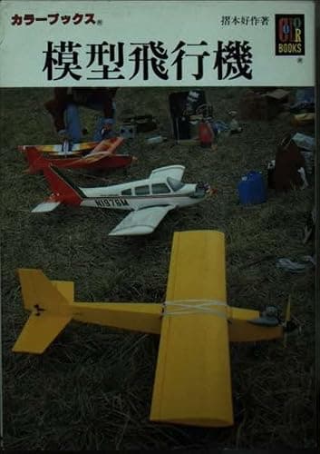 模型飛行機 (カラーブックス 438)