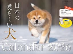 【購入者限定特典あり】2026 日本の愛らしい犬カレンダー〈日本の犬の健気で凛々しい表情に癒やされる〉（スマホ壁紙データ2種付き）（壁掛け / 月めくり / 大判） ([カレンダー])