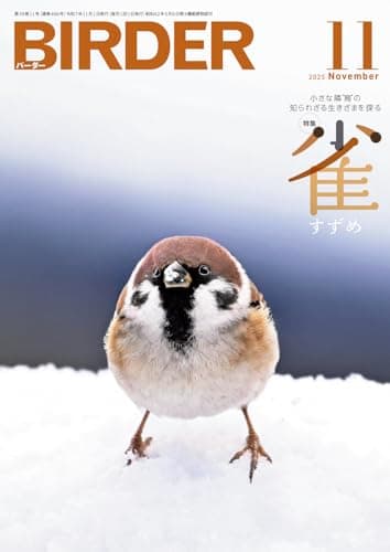 BIRDER（バーダー）2025年11月号　雀（すずめ）