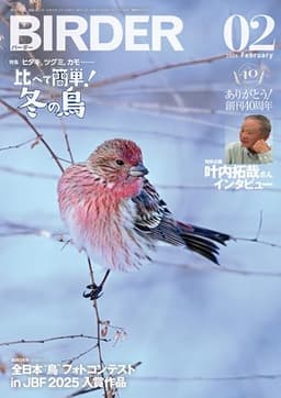 BIRDER（バーダー）2026年2月号　比べて簡単！冬の鳥