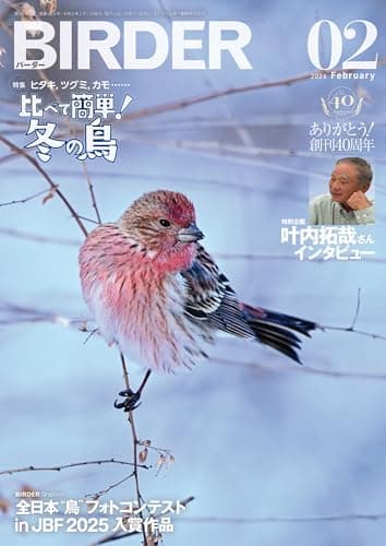 BIRDER（バーダー）2026年2月号　比べて簡単！冬の鳥