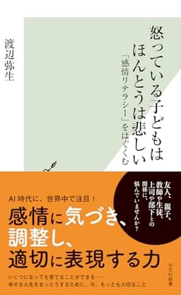 怒っている子どもはほんとうは悲しい　「感情リテラシー」をはぐくむ (光文社新書)