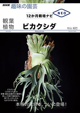 ビカクシダ (NHK趣味の園芸 12か月栽培ナビNEO 観葉植物)