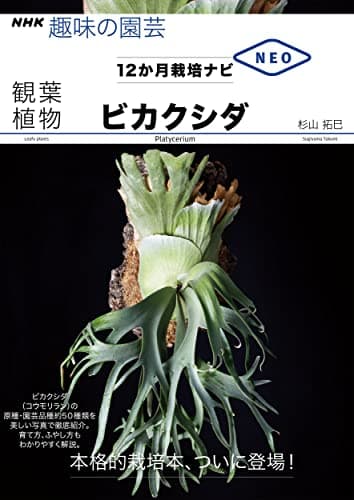 ビカクシダ (NHK趣味の園芸 12か月栽培ナビNEO 観葉植物)