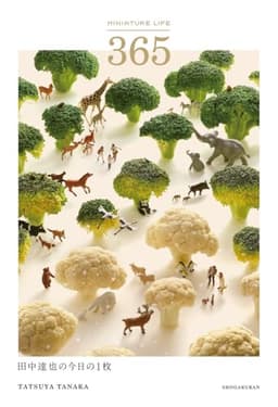MINIATURE LIFE 365: 田中達也の今日の1枚