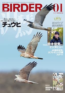 BIRDER（バーダー）2026年1月号　チュウヒ【特別付録 鳥見手帖 2026】付き