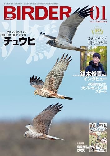 BIRDER（バーダー）2026年1月号　チュウヒ【特別付録 鳥見手帖 2026】付き