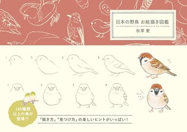 日本の野鳥 お絵描き図鑑