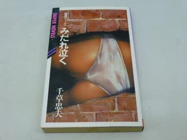 姦虐ゲーム(3)みだれ泣く