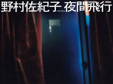 野村佐紀子写真集 夜間飛行