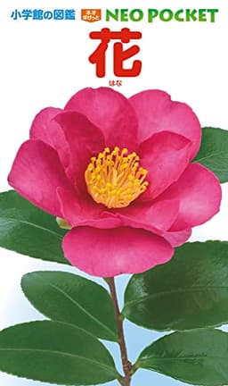 花 (小学館の図鑑NEO POCKET)