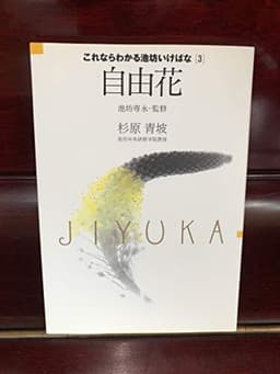 自由花 (これならわかる池坊いけばな)