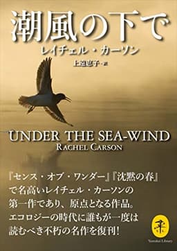 ヤマケイ文庫 潮風の下で