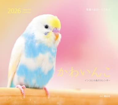 カレンダー2026 かわいんこ インコと小鳥のカレンダー（月めくり/壁掛け/鳥） (ヤマケイカレンダー2026)