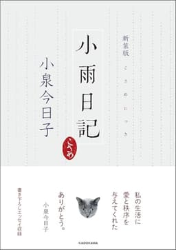 新装版 小雨日記
