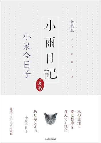 新装版 小雨日記