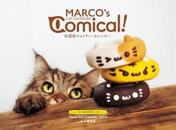 カレンダー2026 MARCO's CAT CALENDAR Comical ! 保護猫チャリティーカレンダー（月めくり/壁掛け/ねこ こねこ） (ヤマケイカレンダー2026)
