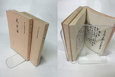 犬子集 (1967年) (古典文庫〈第239,243冊〉)