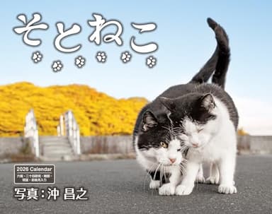 カレンダー2026 そとねこ（月めくり/壁掛け/600mm×380mm） (インプレスカレンダー2026)