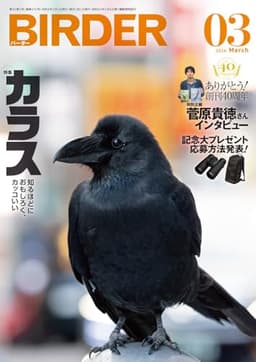 BIRDER（バーダー）2026年3月号　カラス