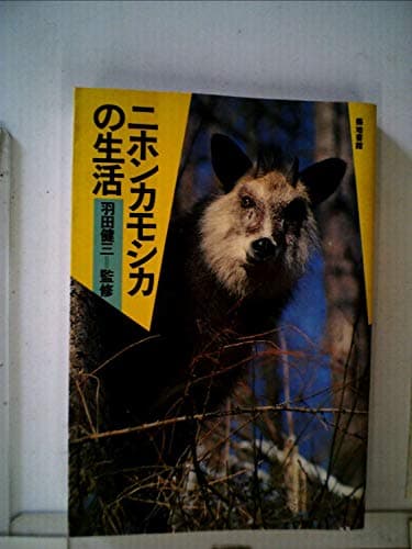 ニホンカモシカの生活 (1985年)