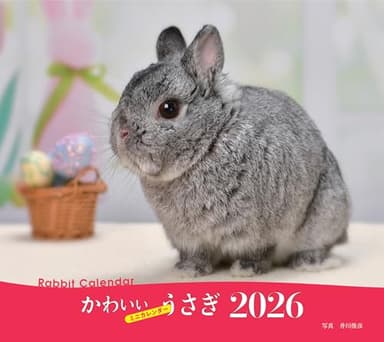 2026年カレンダー かわいいうさぎ (誠文堂新光社カレンダー)