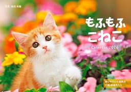 カレンダー2026 もふもふこねこ（月めくり/壁掛け/420mm×297mm） (インプレスカレンダー2026)