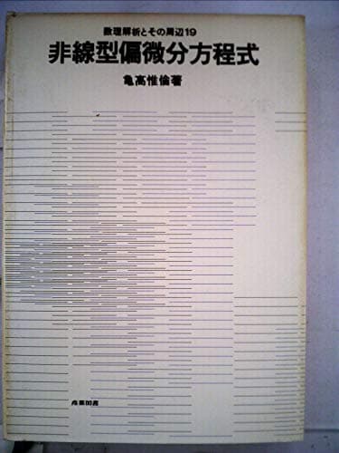 非線型偏微分方程式 (1977年) (数理解析とその周辺〈19〉)