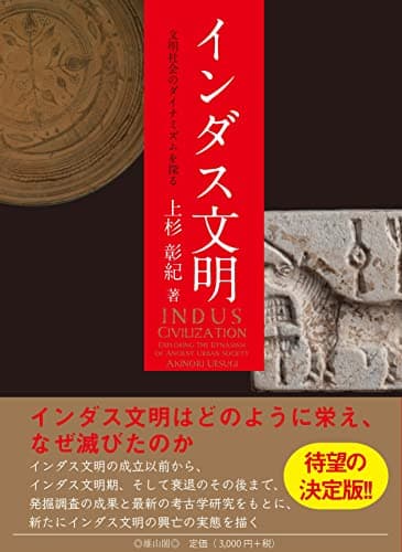 インダス文明 文明社会のダイナミズムを探る