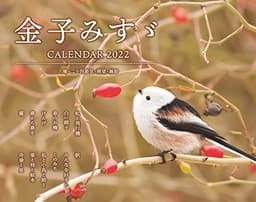 金子みすゞ CALENDAR 2022 (インプレスカレンダー2022)