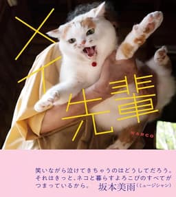 メイ先輩