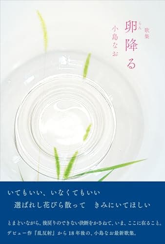 卵降る (コスモス叢書 1263篇)