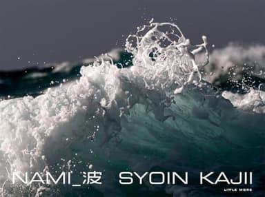 NAMI_波