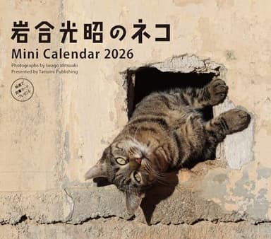 2026　ミニカレンダー　岩合光昭のネコ
