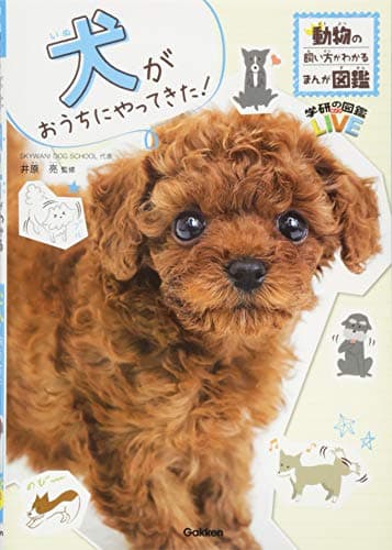 犬がおうちにやってきた! (動物の飼い方がわかるまんが図鑑)