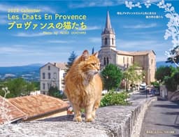 プロヴァンスの猫たち カレンダー 2026 壁掛け B4変型｜南フランス・内山晟撮影｜猫カレンダー 月めくり・六曜・祝日入り ([カレンダー])