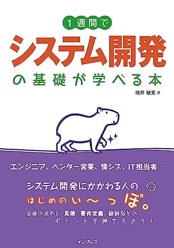1週間でシステム開発の基礎が学べる本 (1週間で基礎が学べるシリーズ)