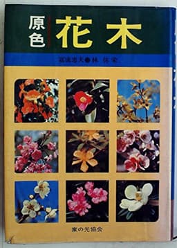 原色花木 (1978年)