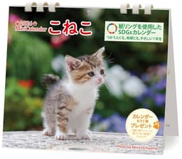 ミニカレンダー こねこ 2026（卓上・壁掛け／月めくり）猫カレンダー｜両面仕様・写真&予定表｜六曜・祝日・満月新月入り｜紙リング・SDGs対応 ([カレンダー])