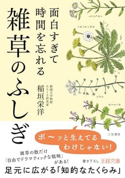 面白すぎて時間を忘れる雑草のふしぎ: 足元に広がる「知的なたくらみ」 (王様文庫 A 103-1)