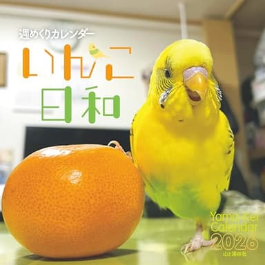 カレンダー2026 週めくりカレンダー いんこ日和（週めくり/卓上・リング/鳥 小鳥） (ヤマケイカレンダー2026)