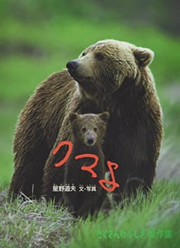 クマよ (たくさんのふしぎ傑作集)
