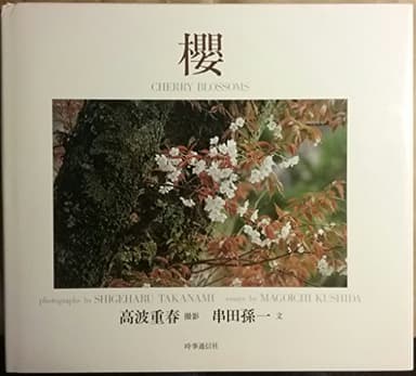 櫻