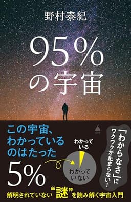 95％の宇宙　解明されていない“謎”を読み解く宇宙入門 (SB新書)