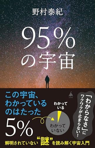 95％の宇宙　解明されていない“謎”を読み解く宇宙入門 (SB新書)
